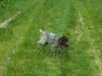 /album/fotogalerie-bettyna/certoviny-003-jpg/